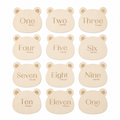 Baby Milestone Cards – Teddy Bear Design